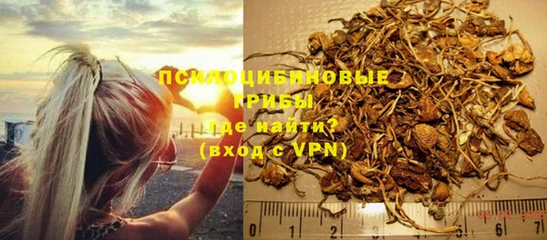 амф Абинск